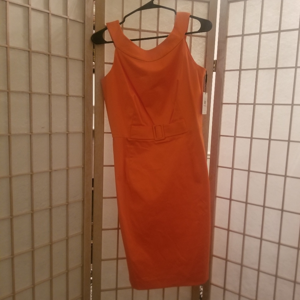 Calvin Klein Sun Set Orange Dress